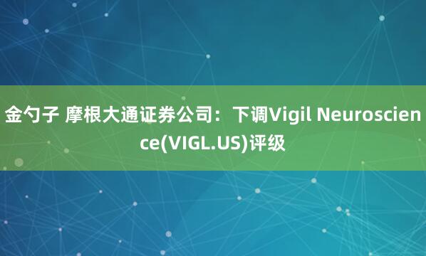 金勺子 摩根大通证券公司：下调Vigil Neuroscience(VIGL.US)评级