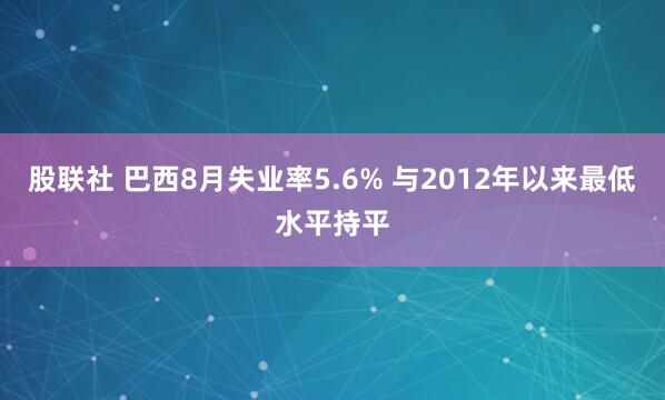 股联社 巴西8月失业率5.6% 与2012年以来最低水平持平