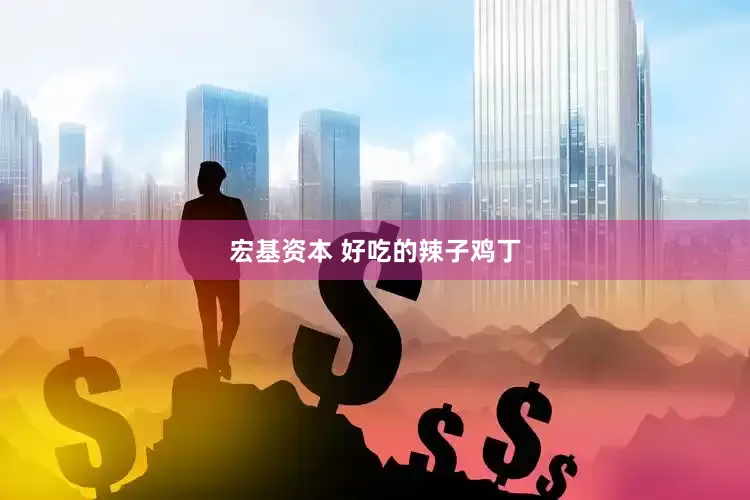 宏基资本 好吃的辣子鸡丁